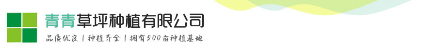 龙8头号玩家官网_龙8登录入口